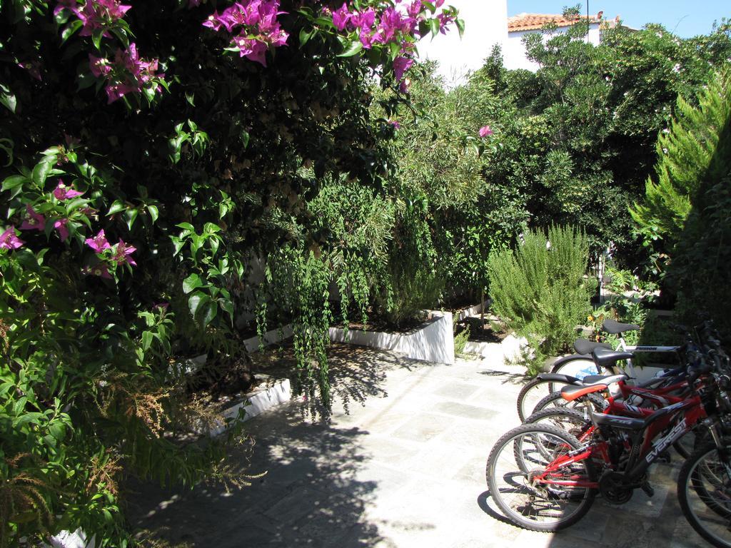 Thea By Kottas Aparthotel Skopelos Town